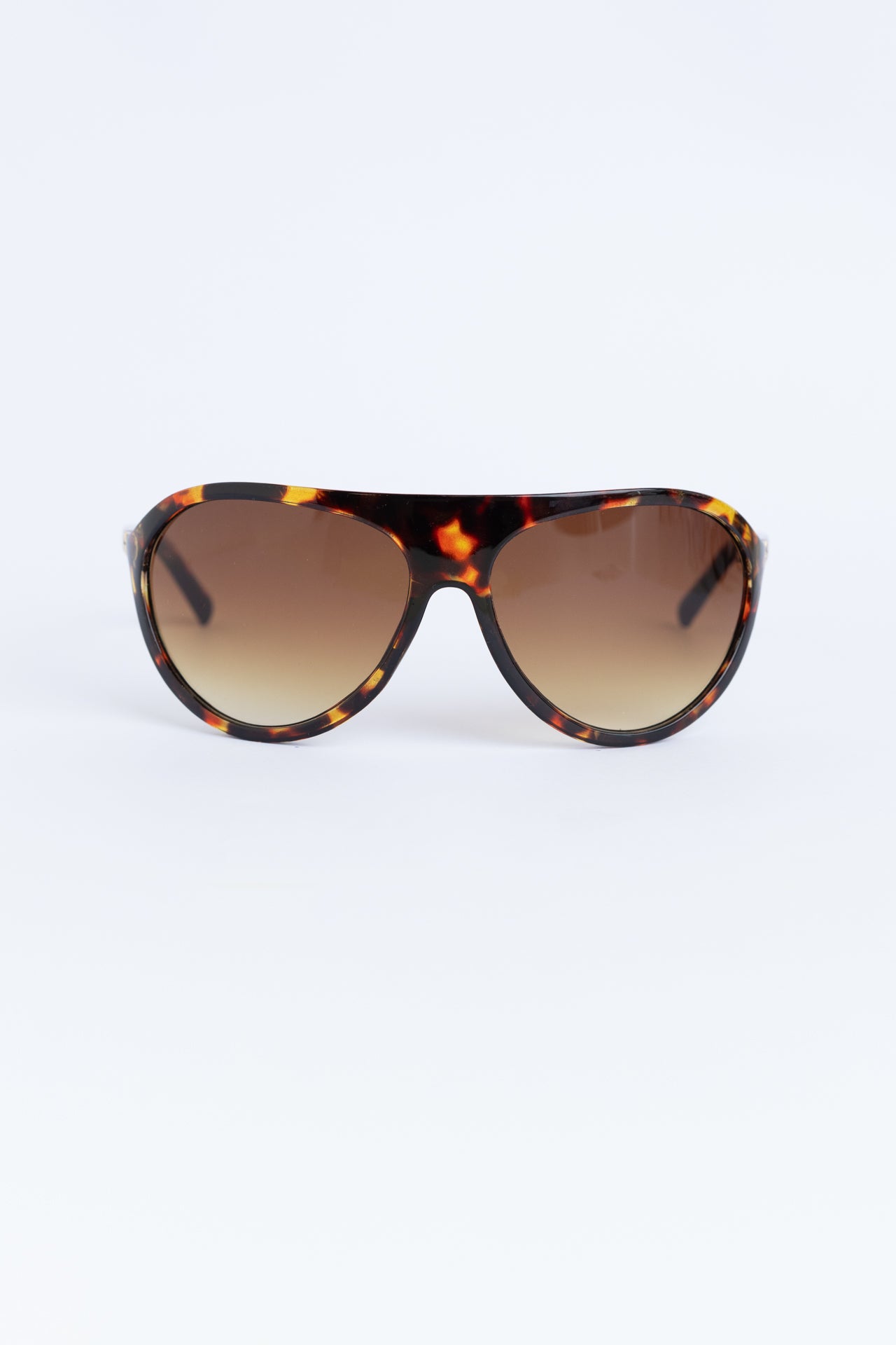PARADIS TORTOISE